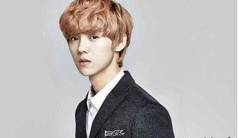 鹿晗网红爆料事件视频,揭秘娱乐圈背后真相 第1张 鹿晗网红爆料事件视频,揭秘娱乐圈背后真相 第1张