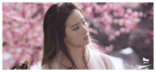 杨洋刘亦菲最新爆料消息,揭秘幕后故事与精彩瞬间