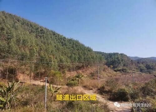 梅州民生820最新爆料 第2张 梅州民生820最新爆料 第2张